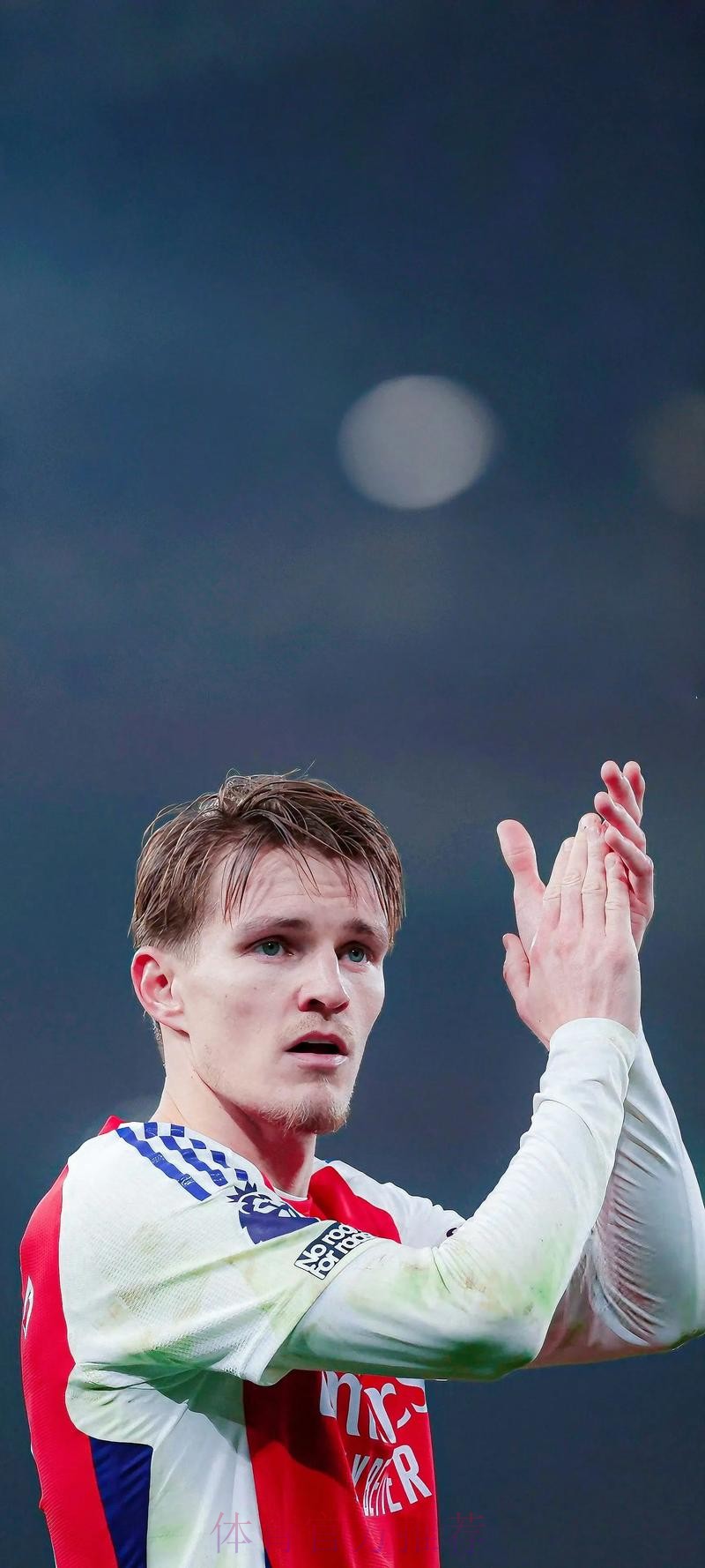 邮报:阿森纳接近以3000万英镑的价格签下厄德高 邮报:阿森纳接近以3000万英镑的价格签下厄德高